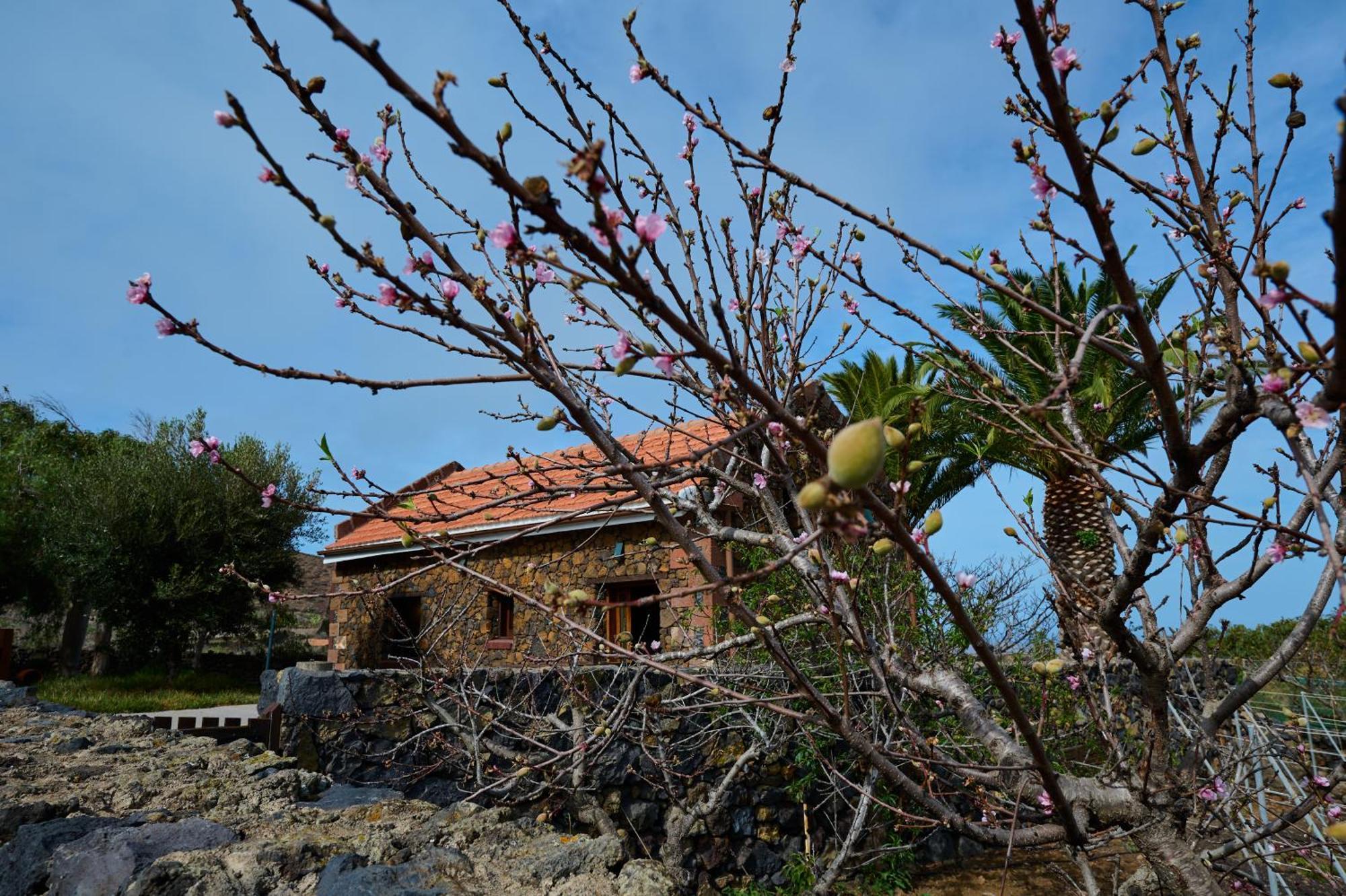 Casa La Casamera Guarazoca Exterior photo